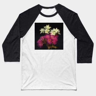 Corymbia Ficifolia with Brushbox Baseball T-Shirt